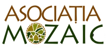 Asociatia Mozaic