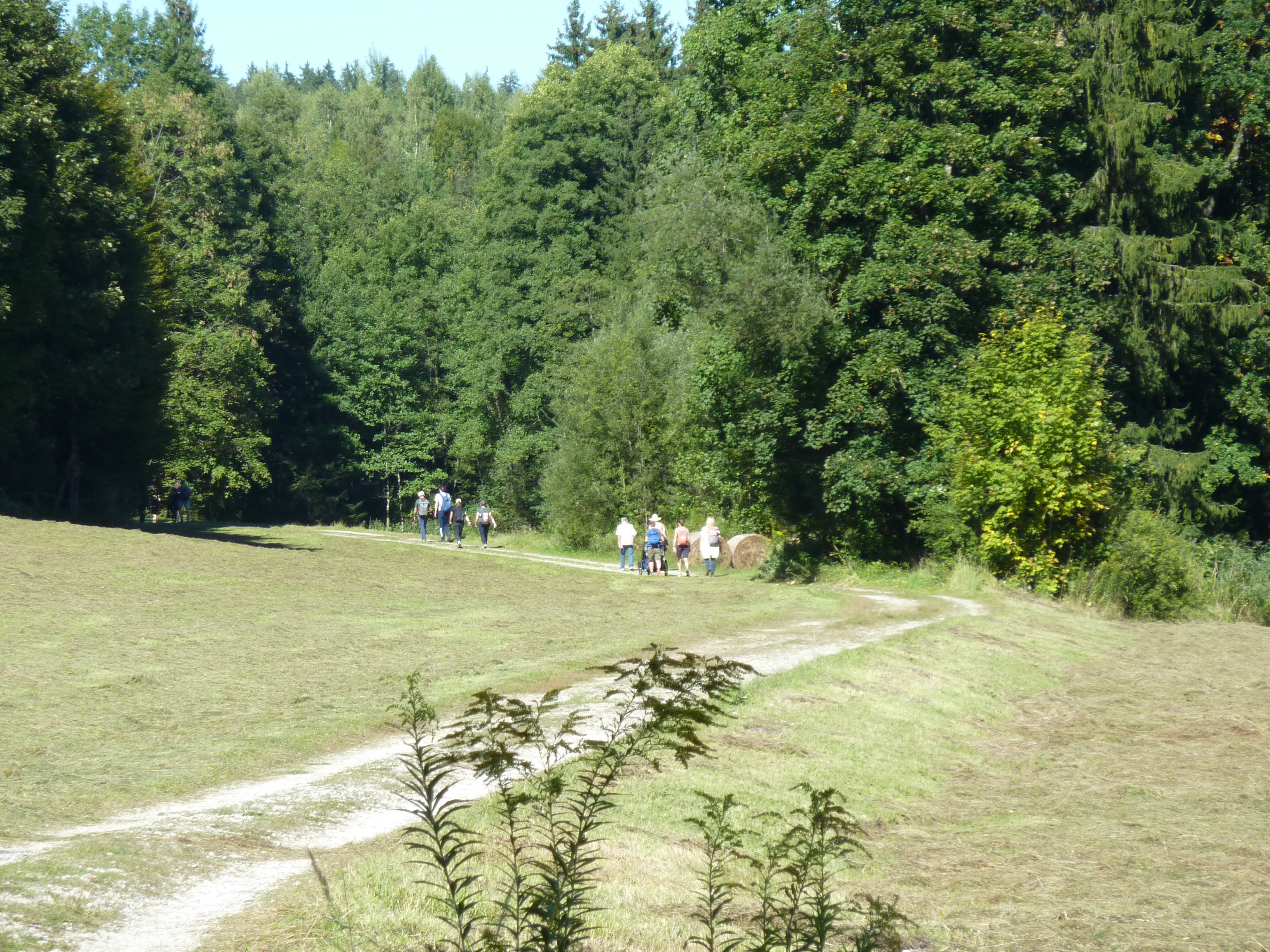 Betriebsausflug Rothenrain SAC 21