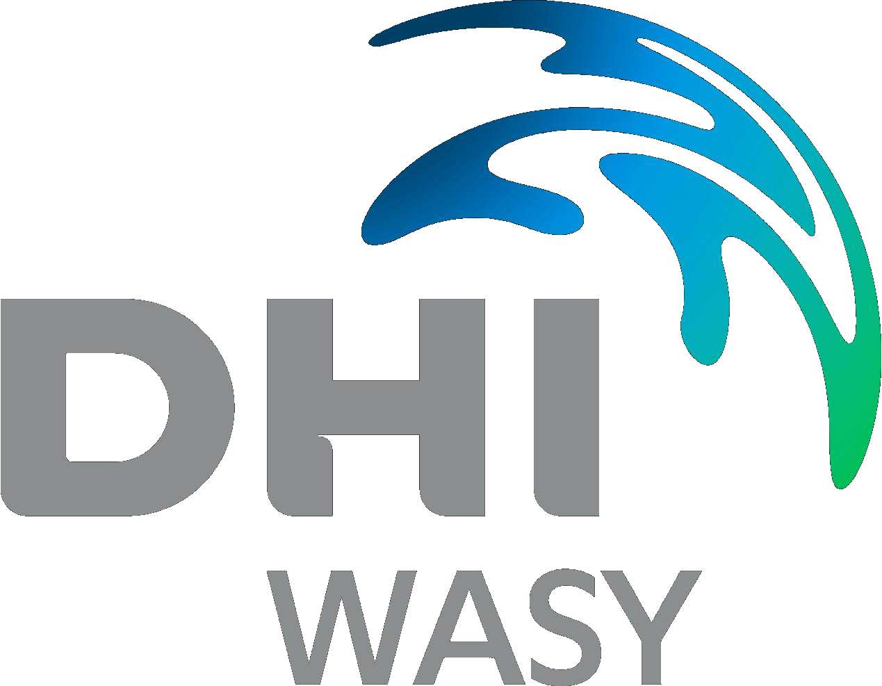 05 DHI WASY inv